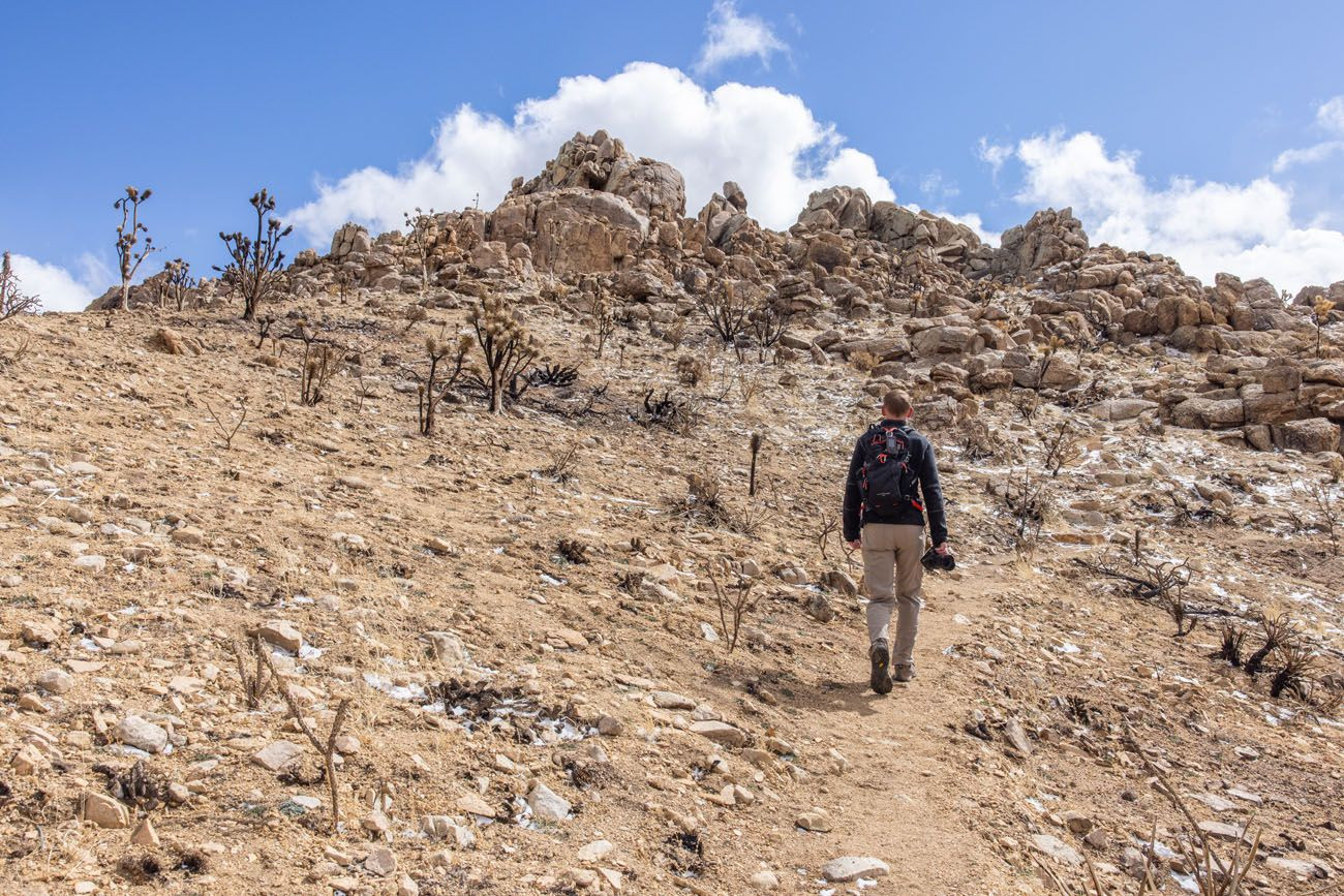 Teutonia Peak Trail