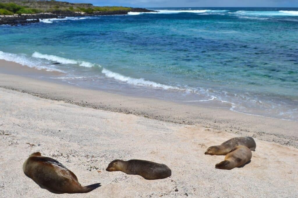 Galápagos Islands, Ecuador