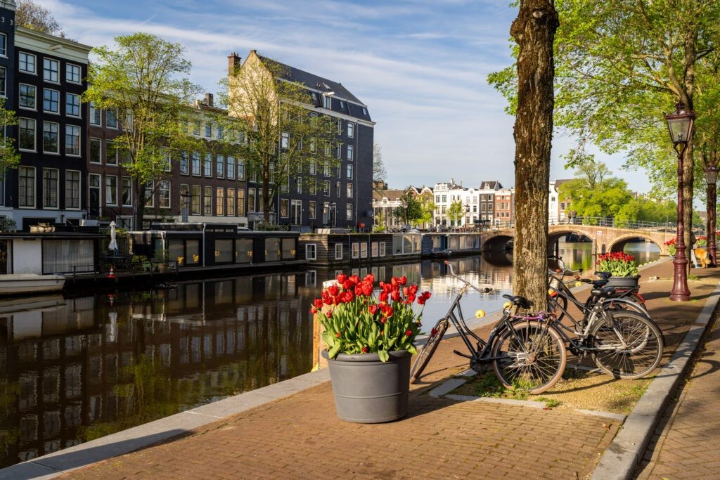 The Plantage in Amsterdam
