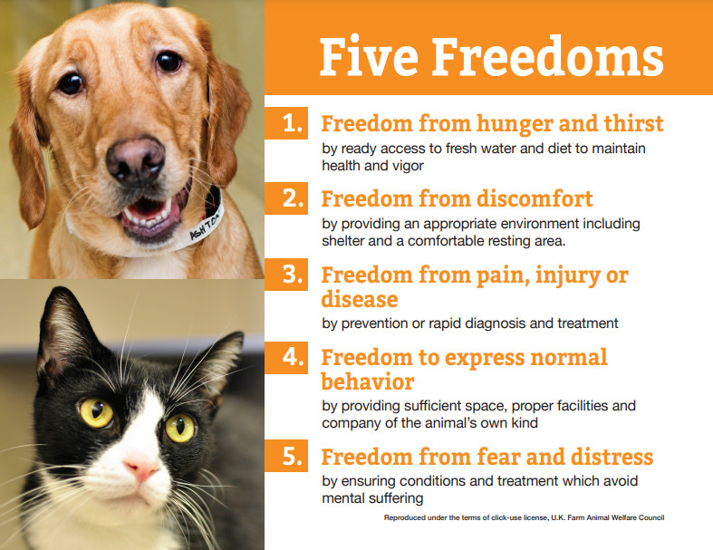 The Five Freedoms