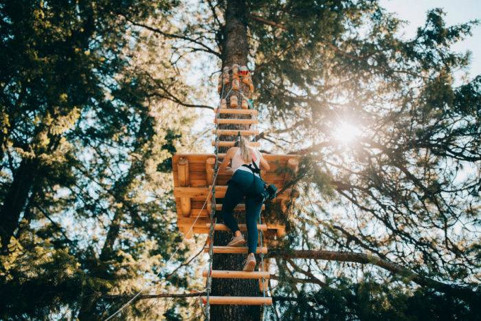 Woman climbing in tree at Tree to Tree Idaho, Farragut State Park.