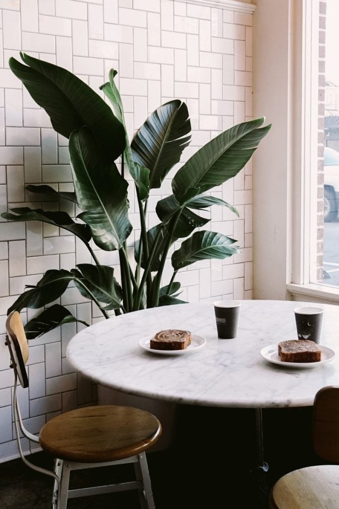 TheMillSf