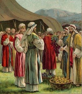 Spies carrying grapes