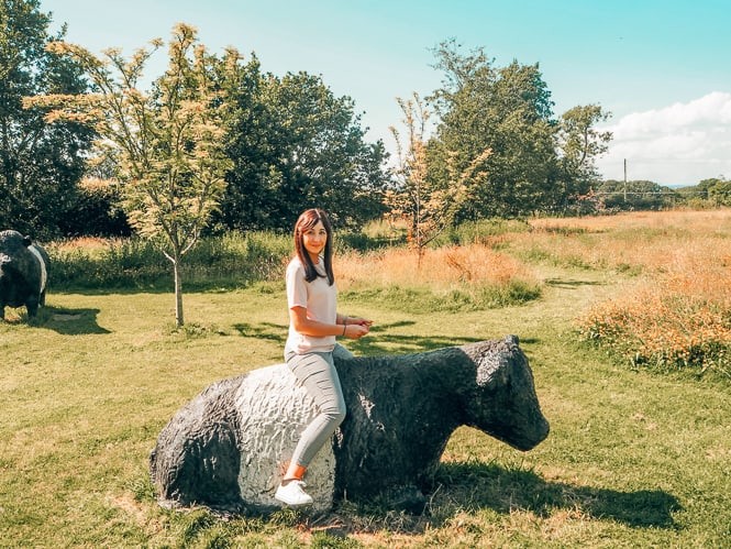 Things to do in Castle Douglas