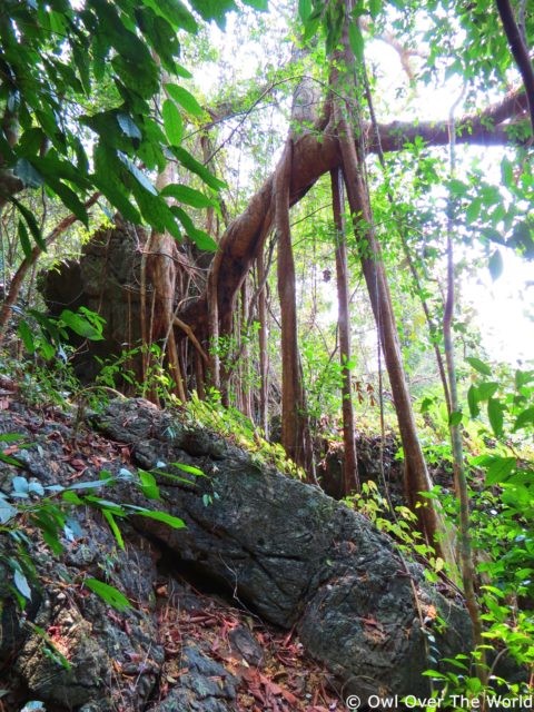 Cat Ba National Park Vietnam