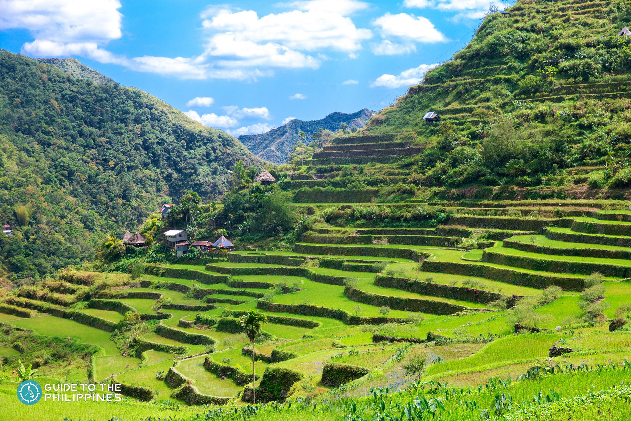 Banaue Rice Terraces displaying the intricate stair-like paddies