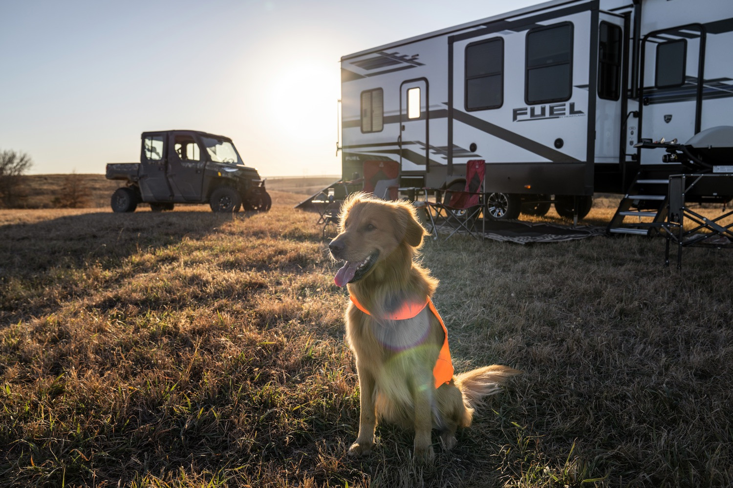 A dog in a field in front of a Fuel Toy Hauler ATV