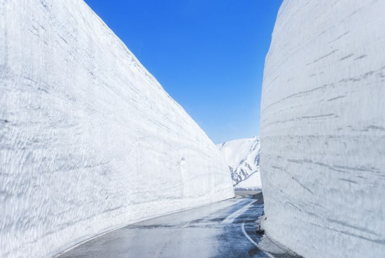 Snow walls along the Tateyama Kurobe Alpine Route, accessible from April 15
