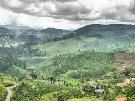 Train journey through tea plantations in Sri Lanka