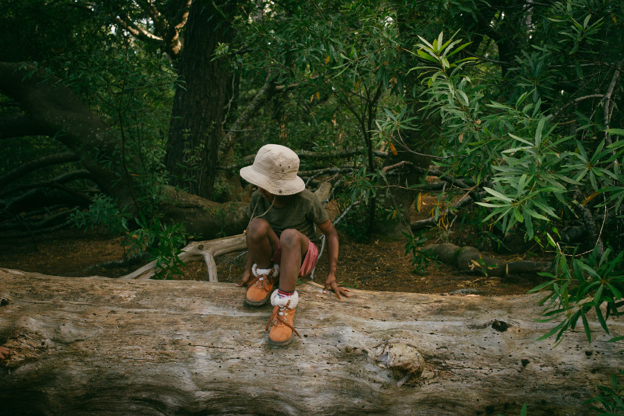 Eco-lodge offering sustainable accommodation