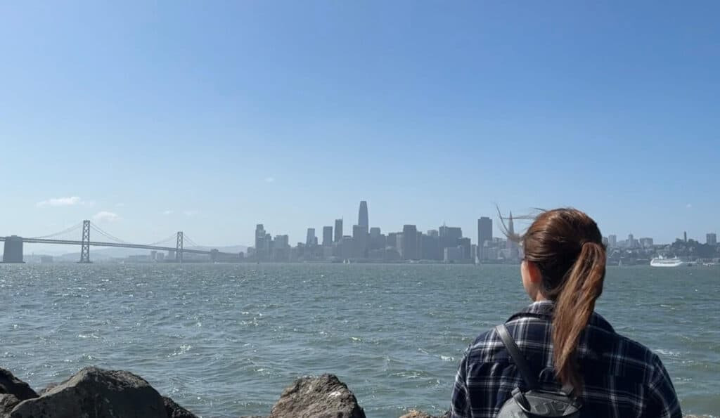 Treasure Island View