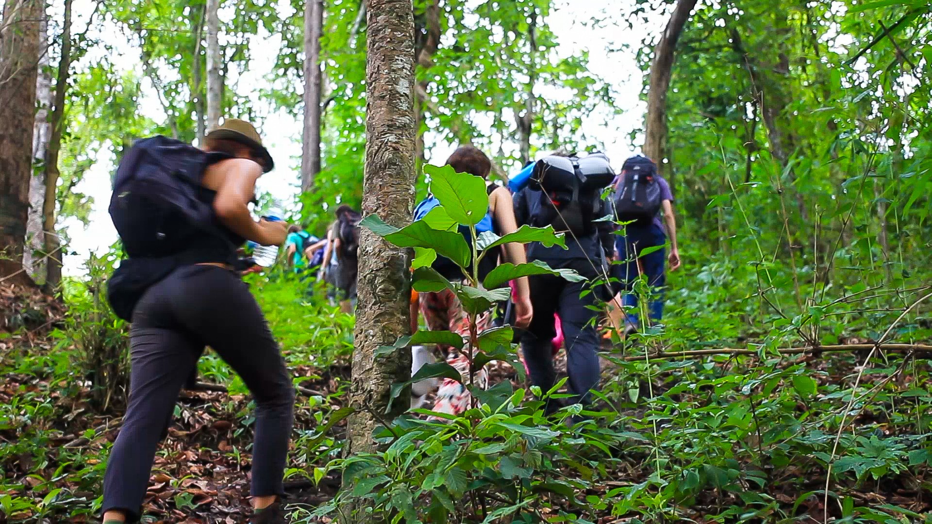 Trekking Adventure in Baralikaadu