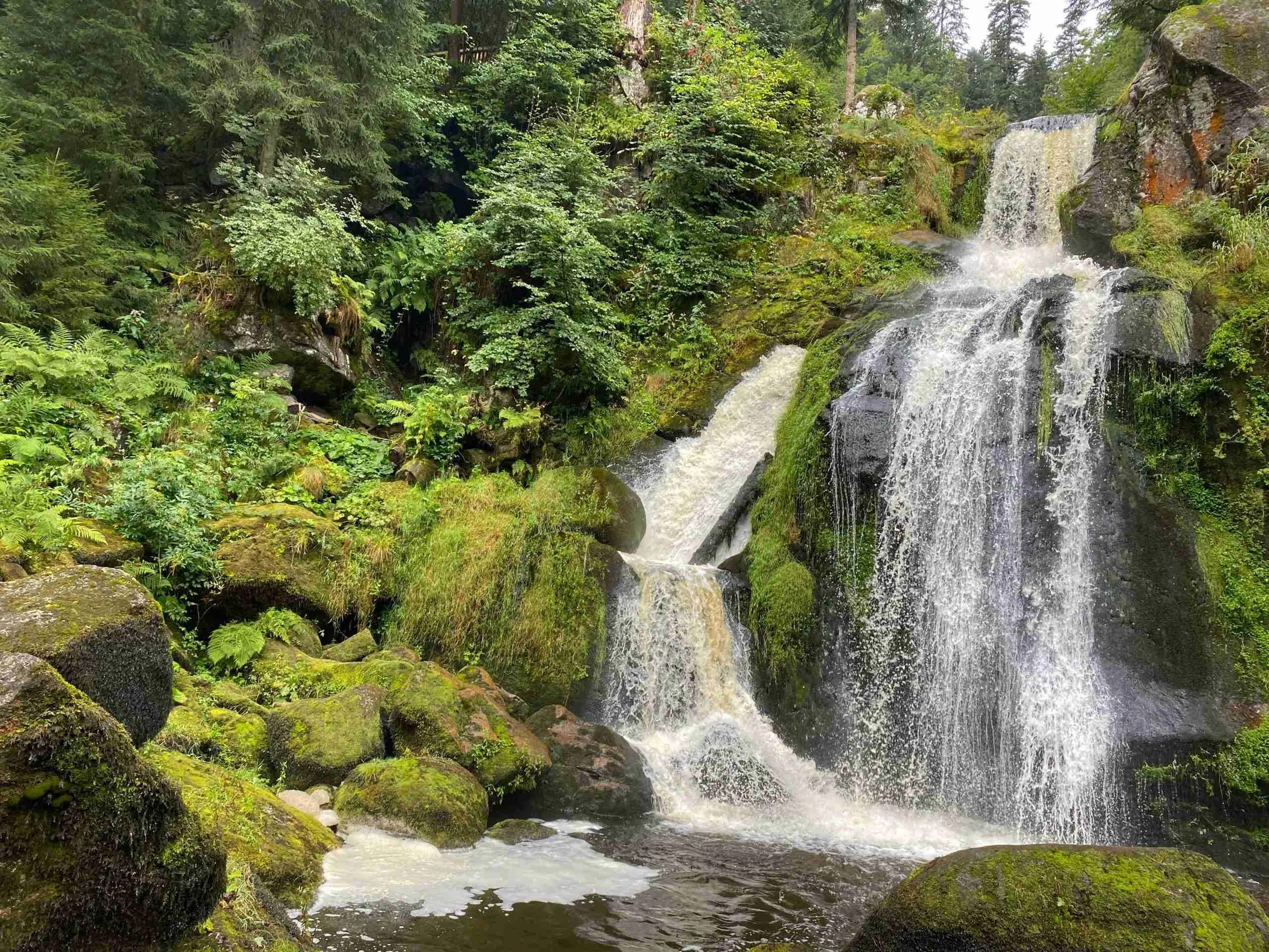 Triberg Waterfalls