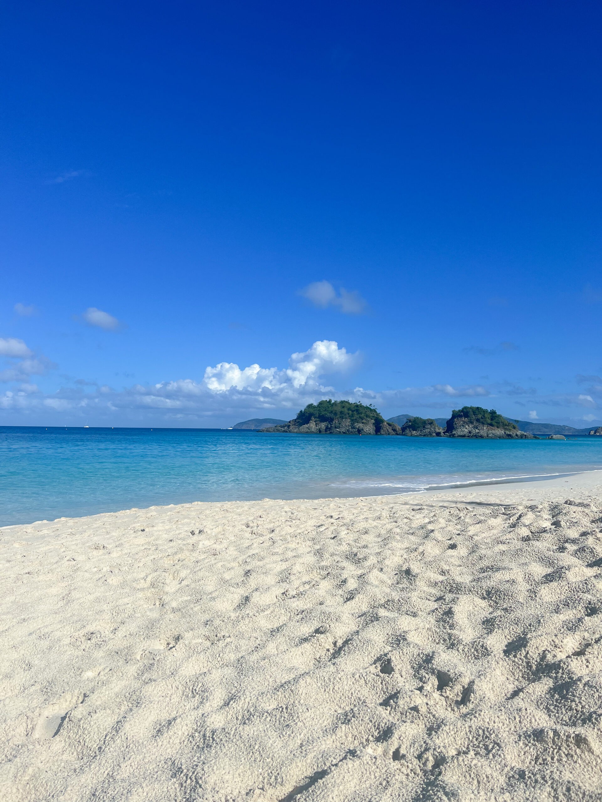 Trunk Bay St. John USVI.