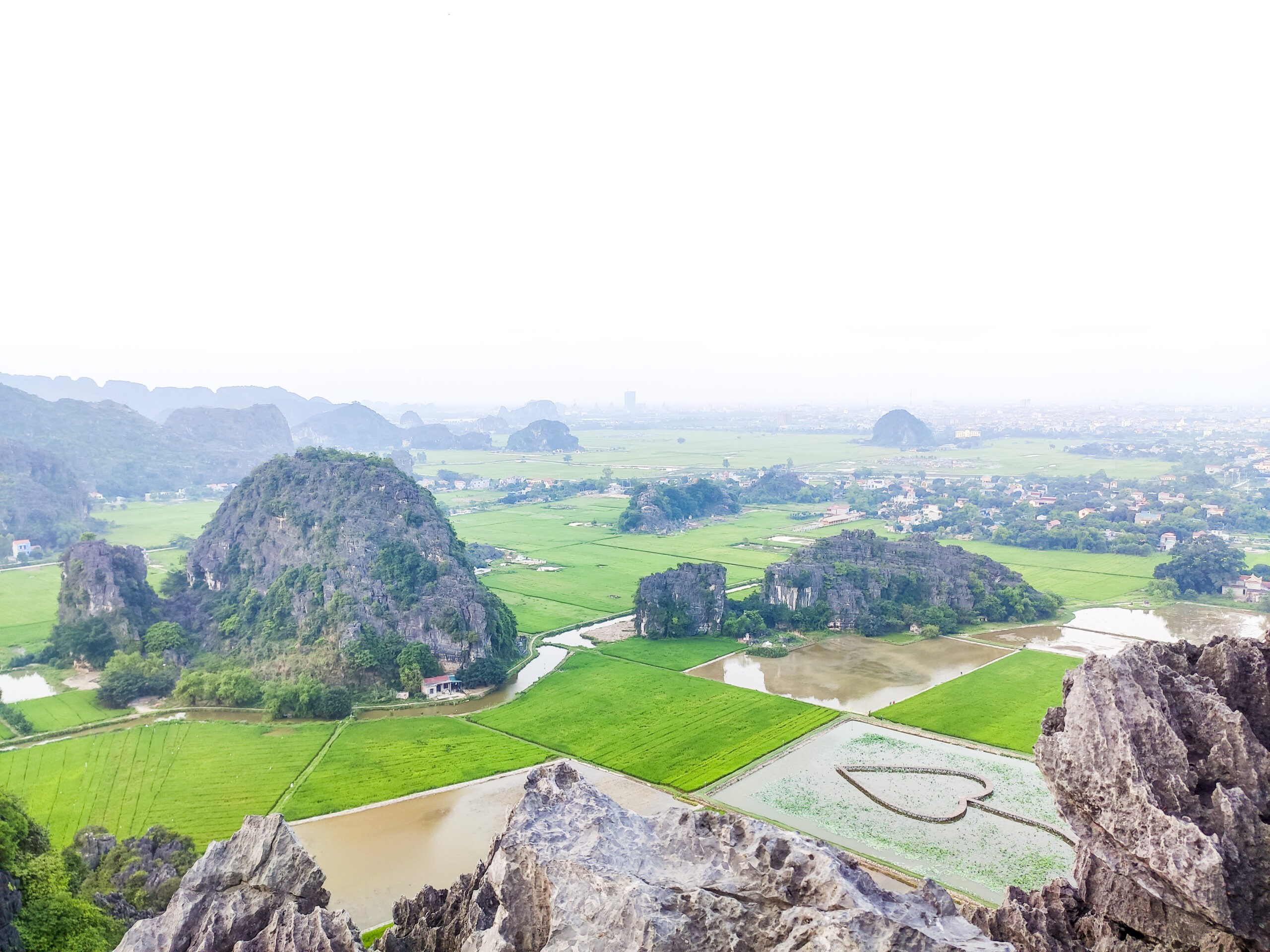 tuyet tinh coc hangmua 4 scaled