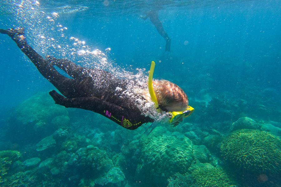 Swimmer wearing a stinger suit while snorkeling in Cairns