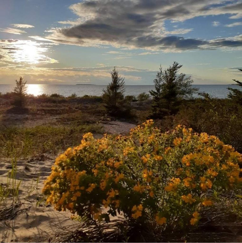 A historical image related to King Strang and the Mormon settlement on Beaver Island