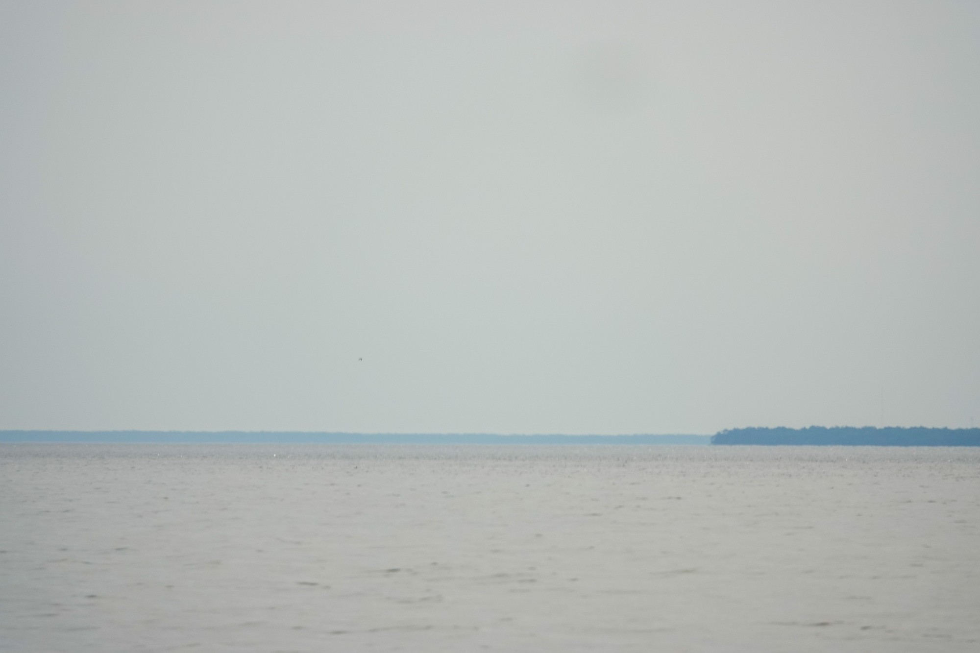 Peaceful Clear Lake perfect for bird watching and relaxation