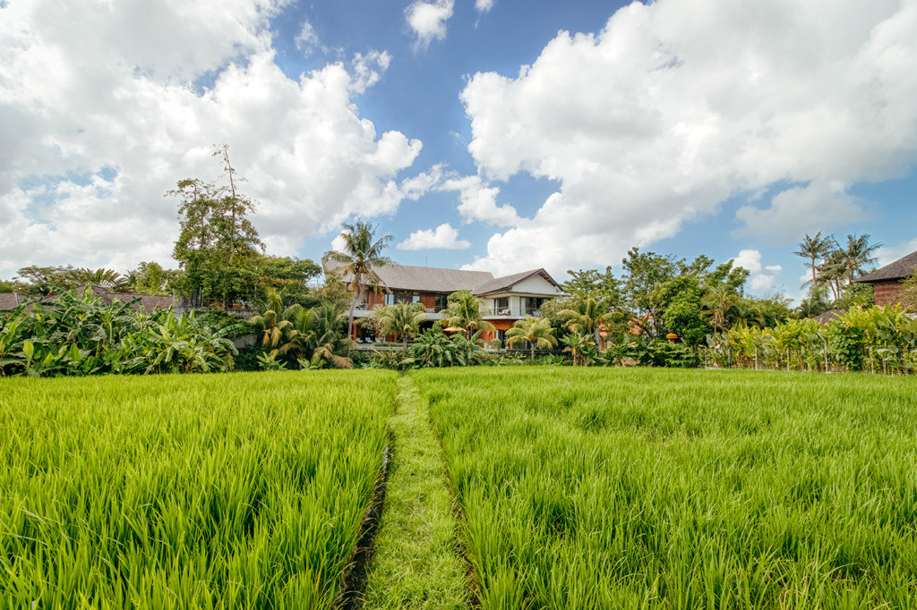 Bali, Indonesia: Spiritual Retreats and Surfing Beaches