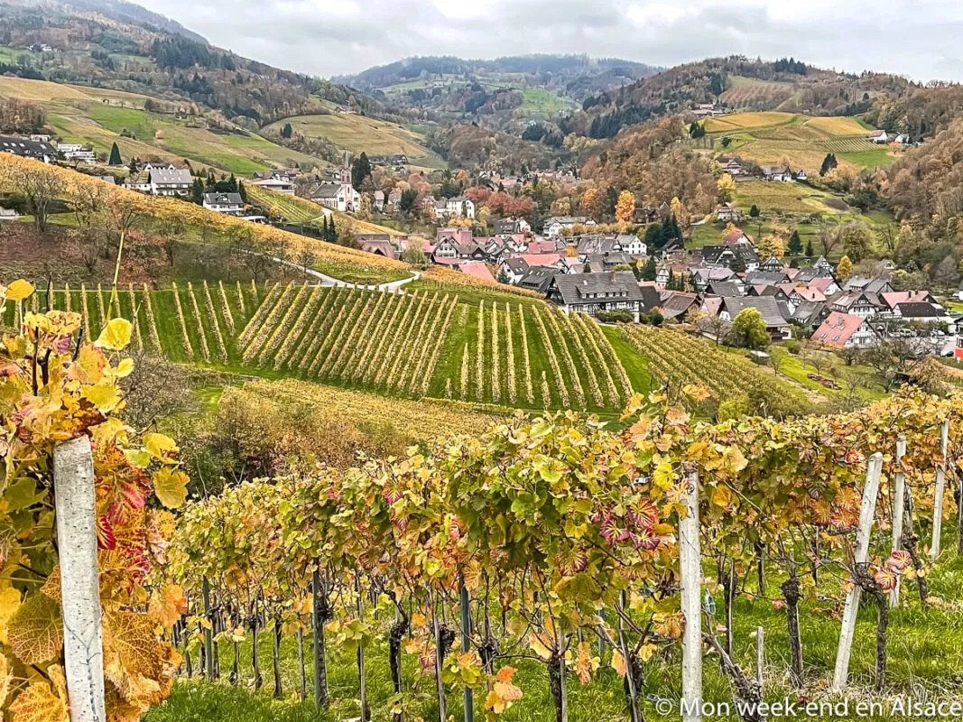 Village in the Sasbachwalden vineyard region of Germany