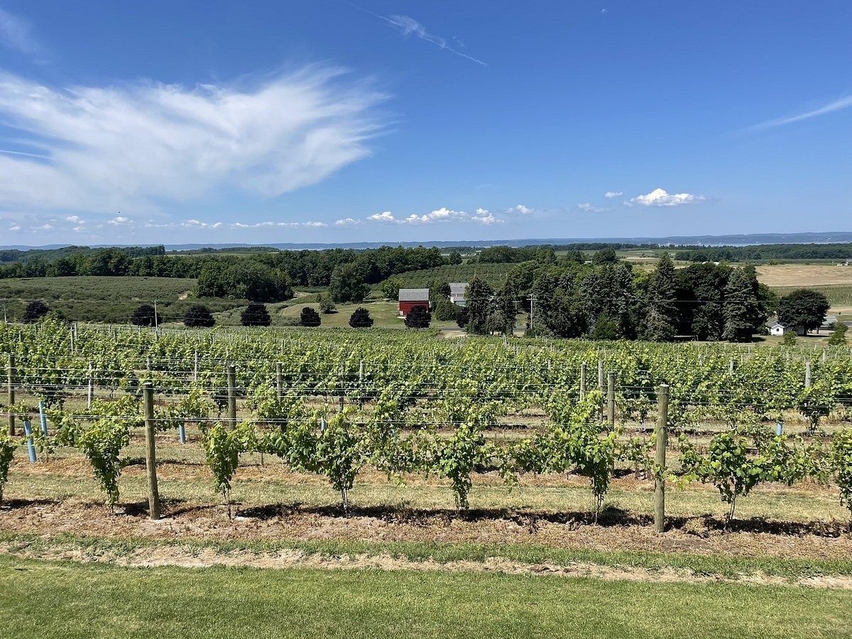 Vineyard landscape, Leelanau Peninsula Wine Tour, Traverse City, Michigan