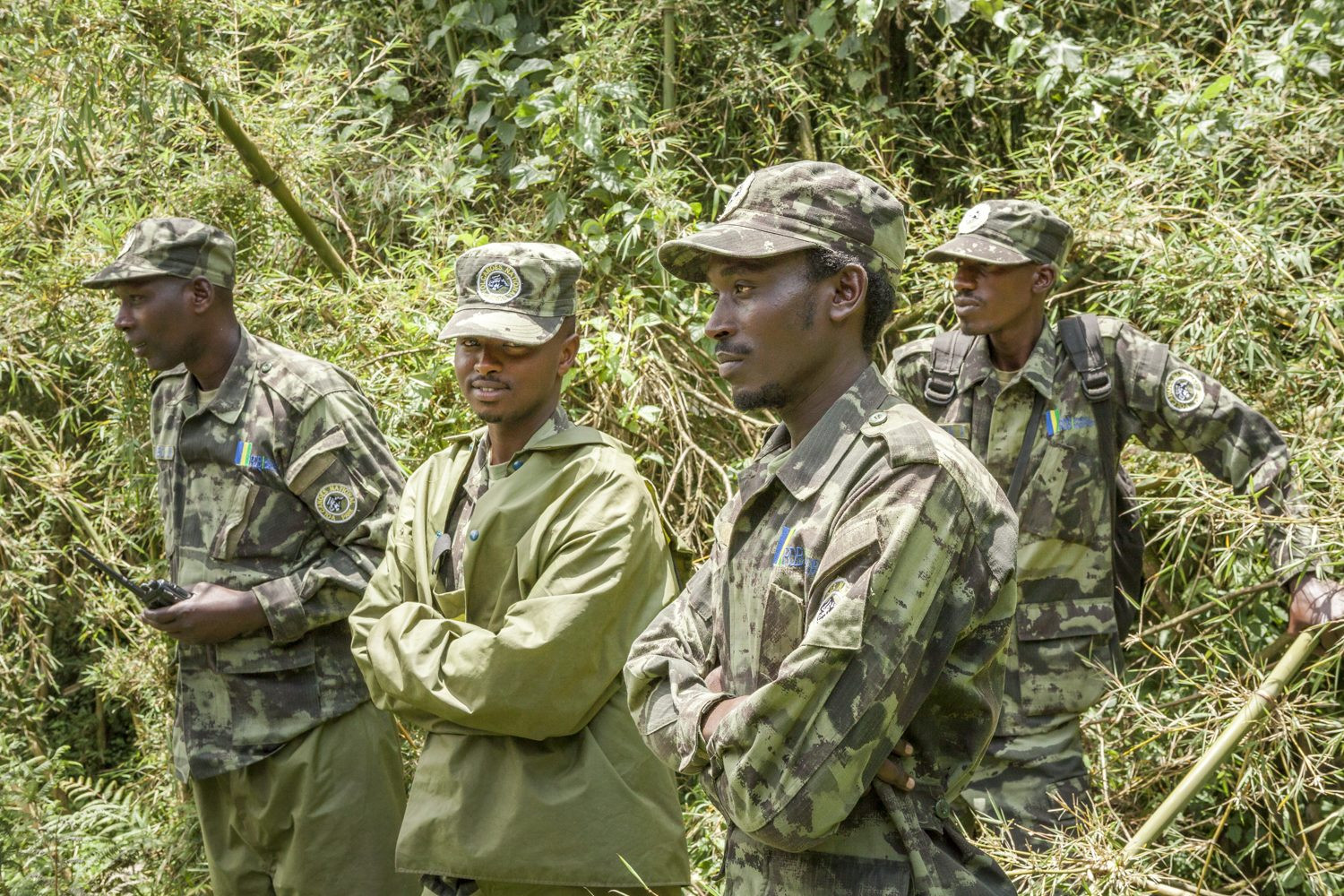 Tourists with gorilla trackers walking in Rwanda