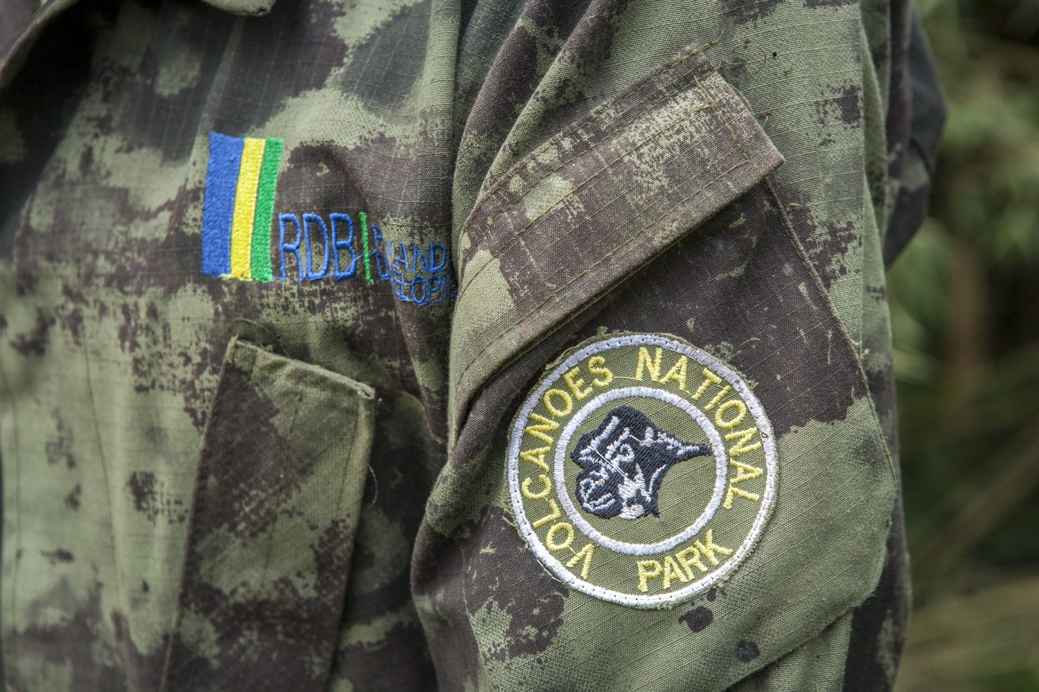 A tourist holding a gorilla tracking permit badge