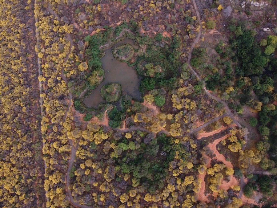 Maracaibo Botanical Garden