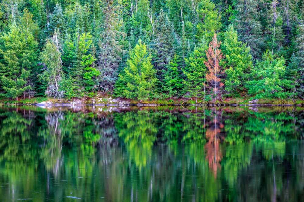 Voyageurs National Park Minnesota natural beauty
