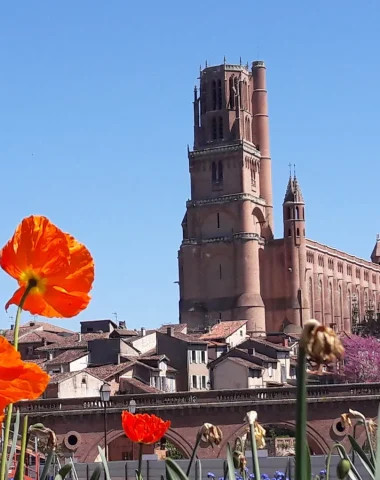 Panoramic view of Albi, offering a stunning cityscape