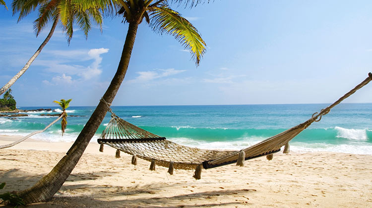 Fort Bragg Leisure Travel Services