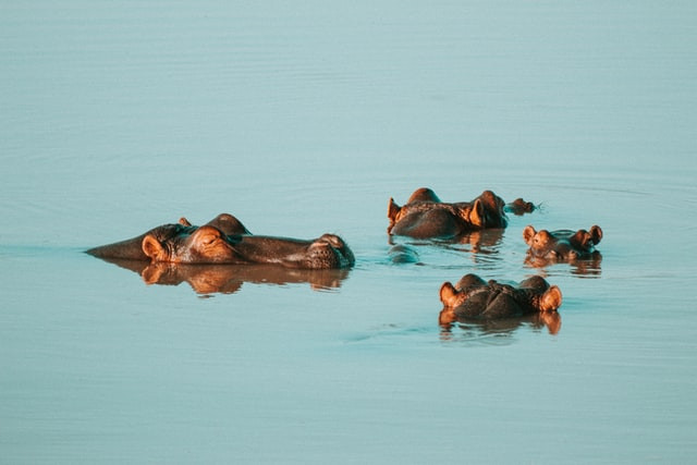Staff at an eco-lodge discussing sustainable practices