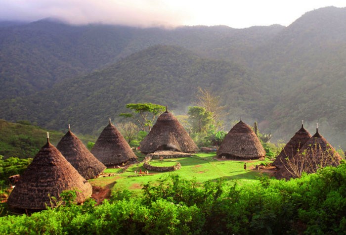 Traditional cone-shaped houses in Wae Rebo Village, Flores