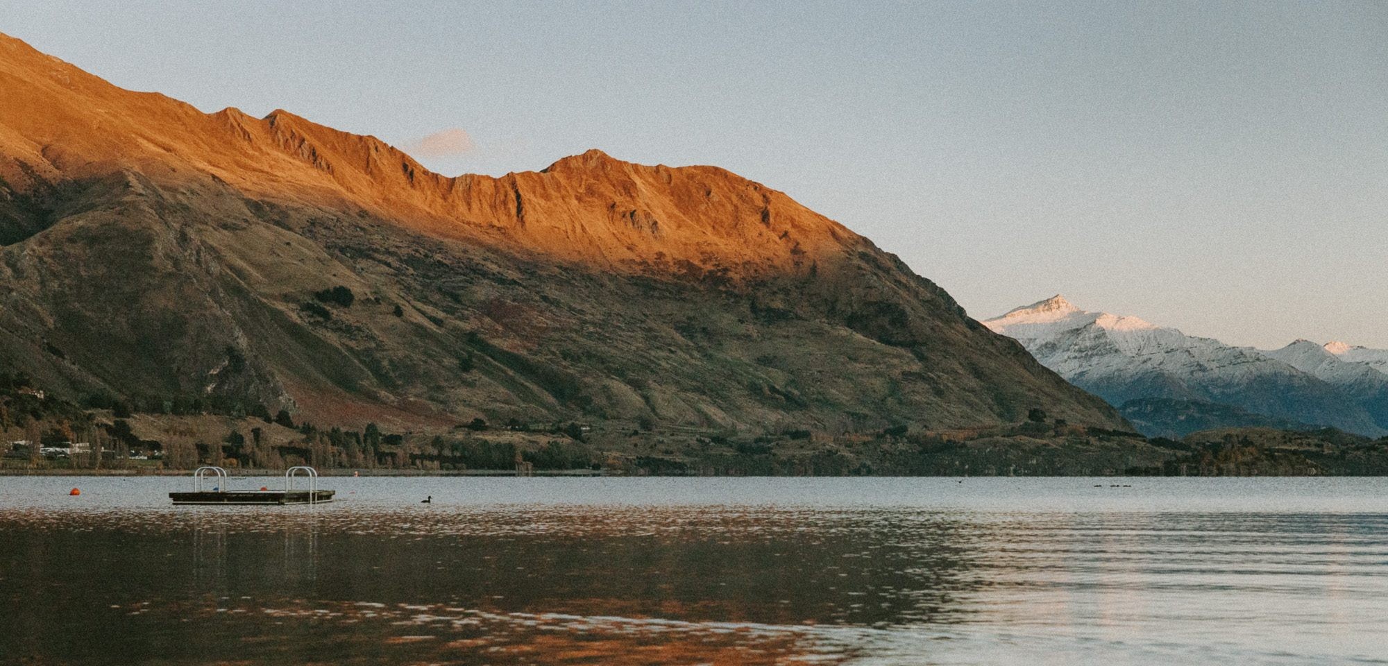 The iconic Wanaka Tree in New Zealand, a popular spot for photographers capturing its beauty at sunrise
