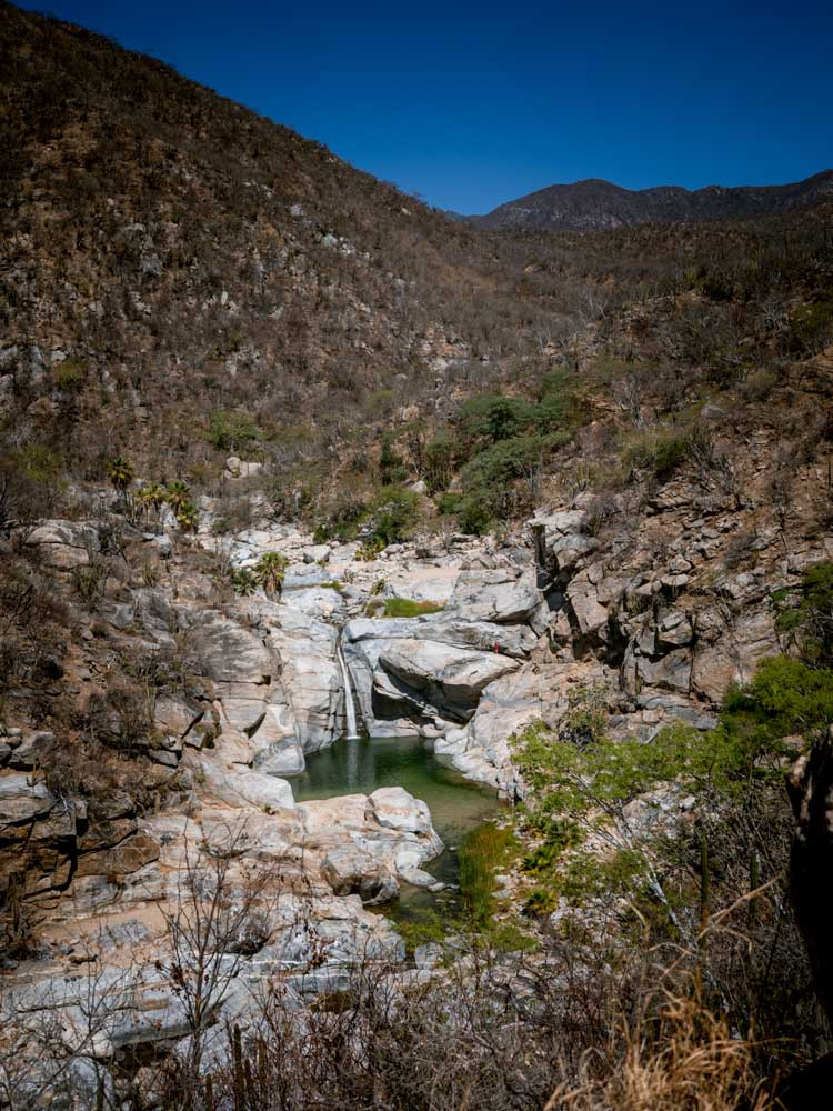Desert Landscape in Baja California