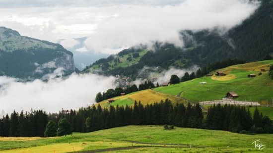 a green hills with trees and clouds