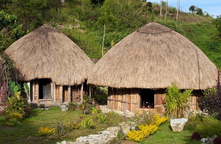 Traditional Papua huts.