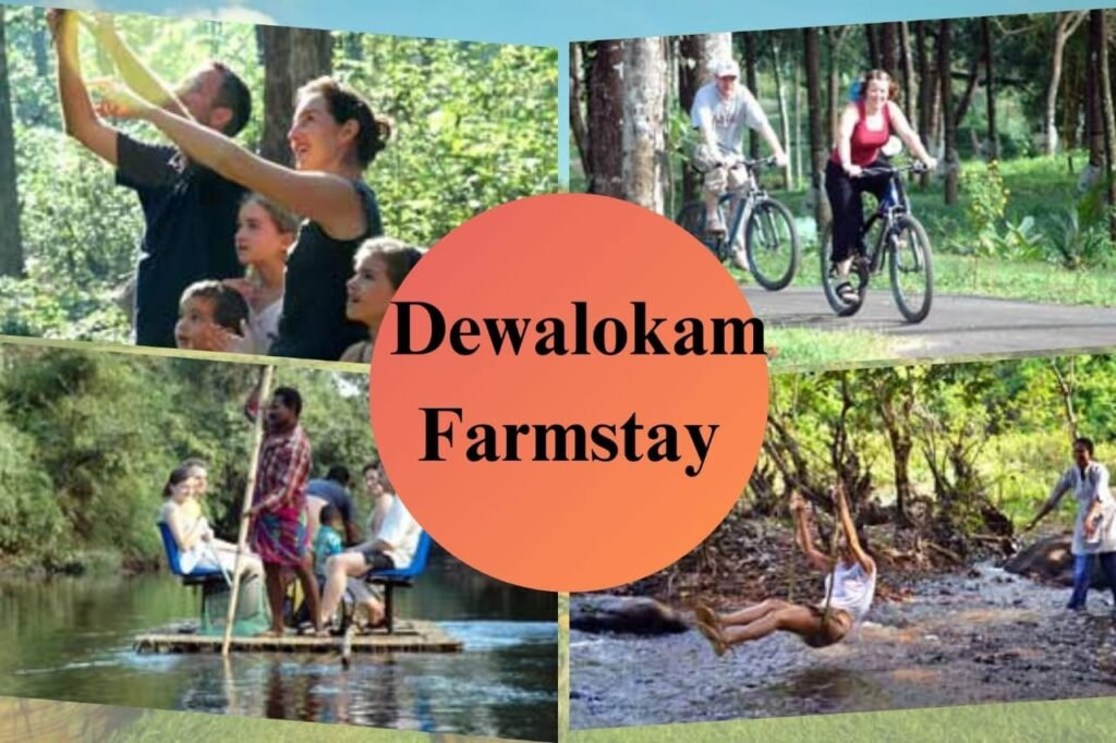 Agro tourism farm stay in Vietnam
