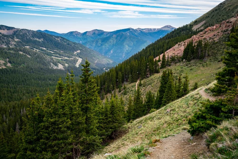 Wheeler Peak Wilderness - snow-covered trees and snow-covered ground at Wheeler Peak Wilderness
