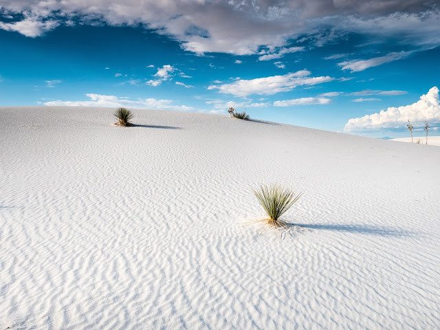 whitesands