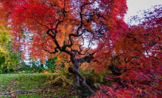 Winterthur Museum in the Fall