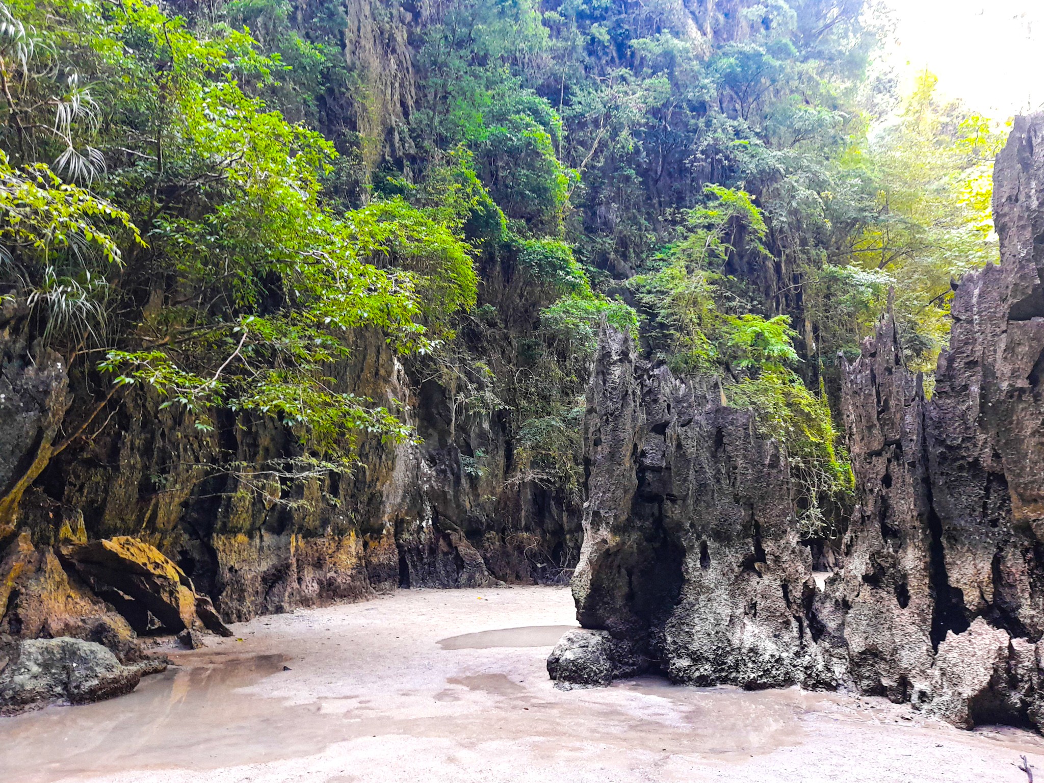 Exploring Khao Phra Thaeo National Park's lush rainforest
