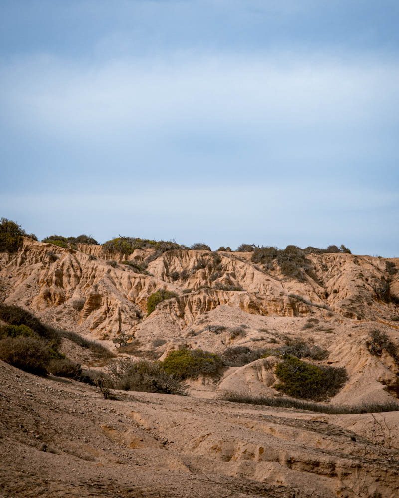 Beach in Baja California Sur with Tourists