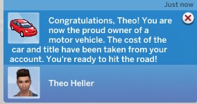 Sims 4 License Application