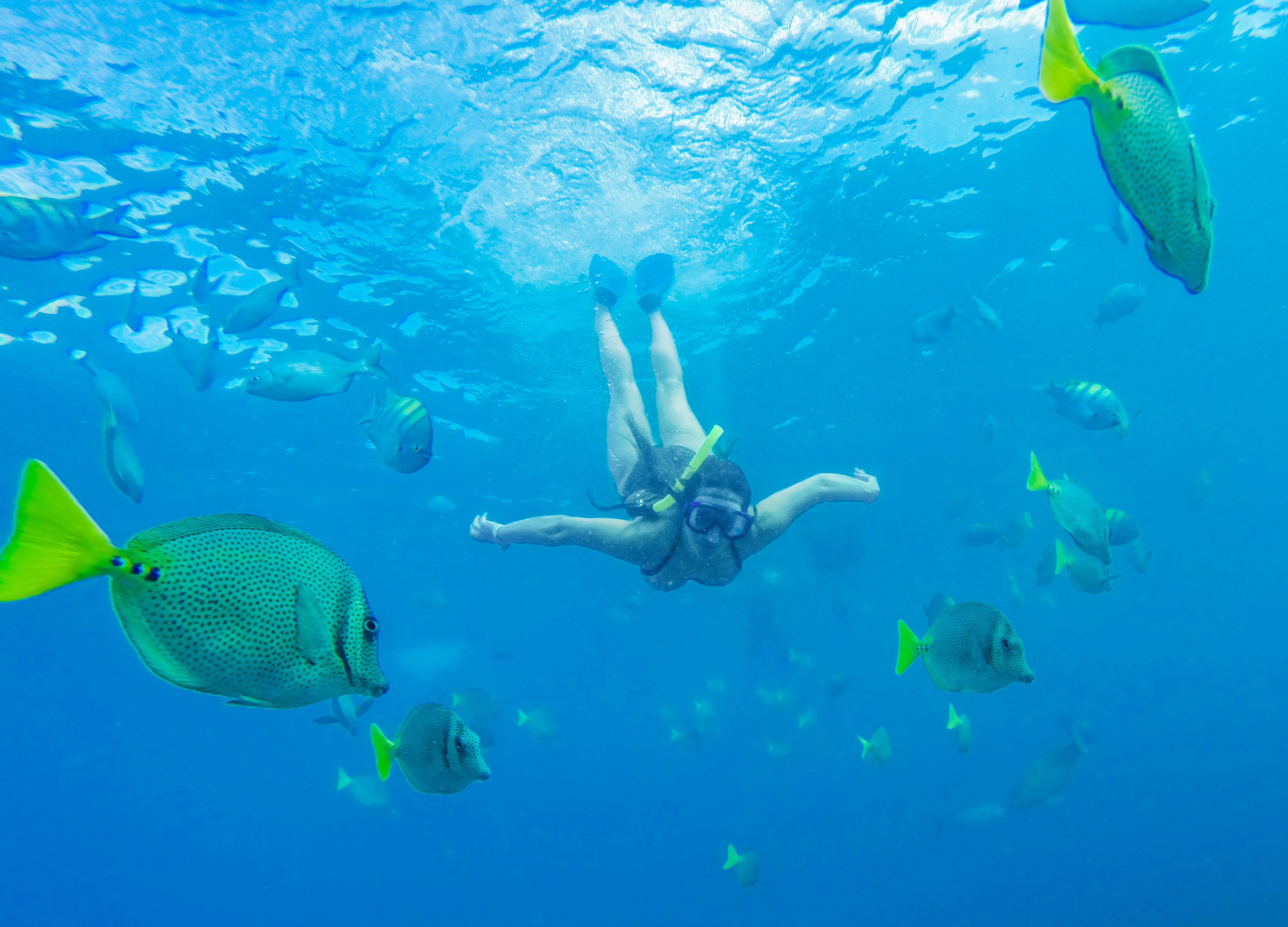 Cabo San Lucas, Mexico: The ideal sea temperature makes snorkeling, scuba diving, and kayaking great experiences.