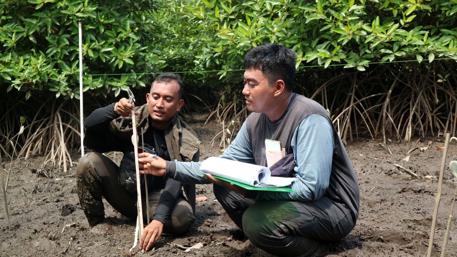 Yakopi-4.jpg