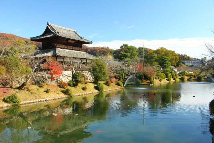 Scenic view of Kikko Park in spring