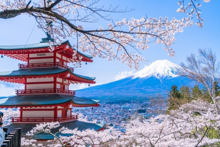 Chureito Pagoda in Fujiyoshida offering beautiful scenery of cherry blossoms and Mt. Fuji during April