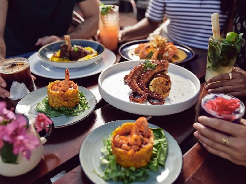 Scrumptious Gastronomy Delights