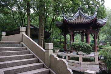 Serene Landscapes in the Classical Kezhi Garden